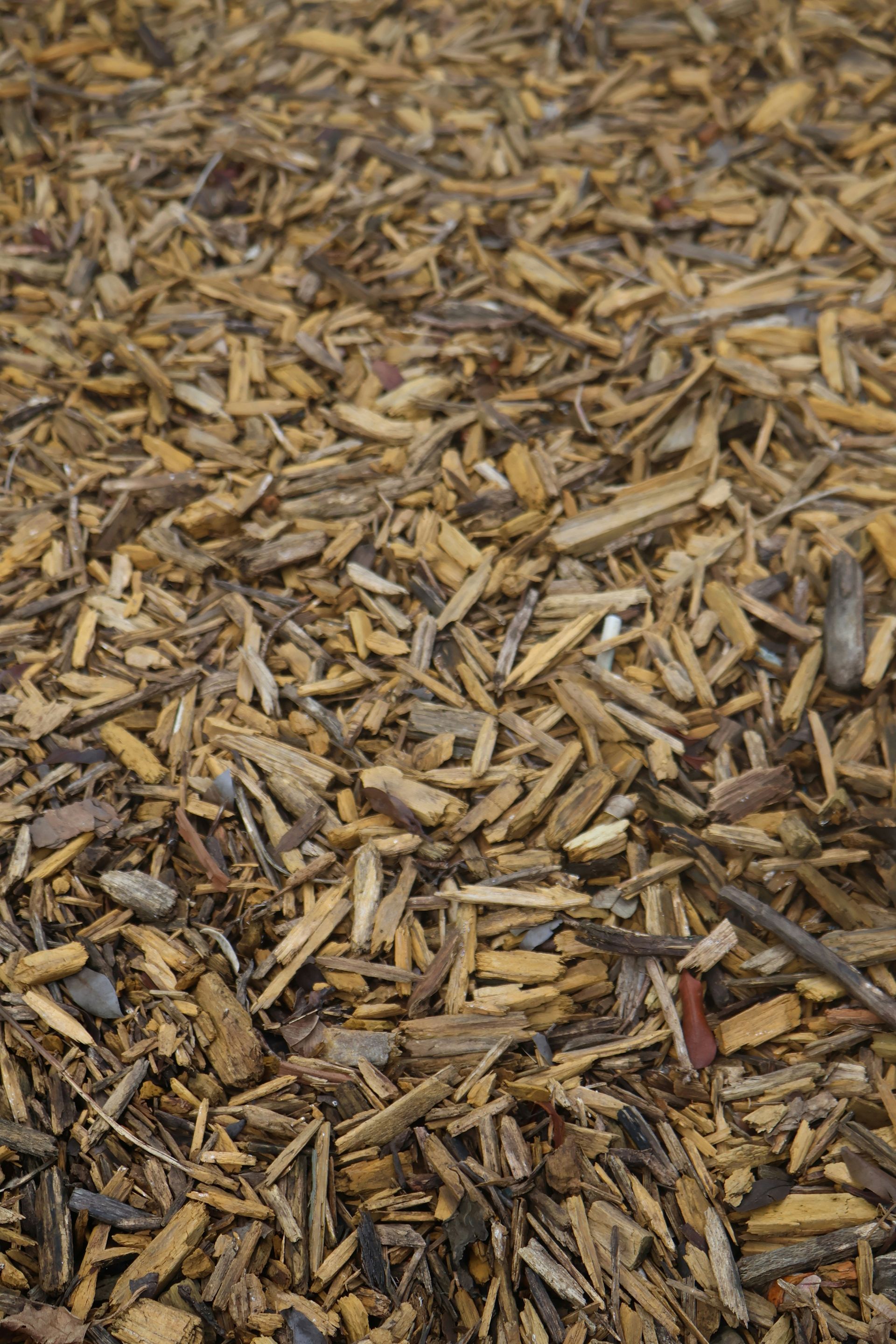 A close-up view of wood chips on the ground